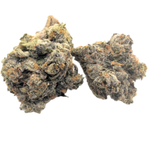 Biscotti Gelato