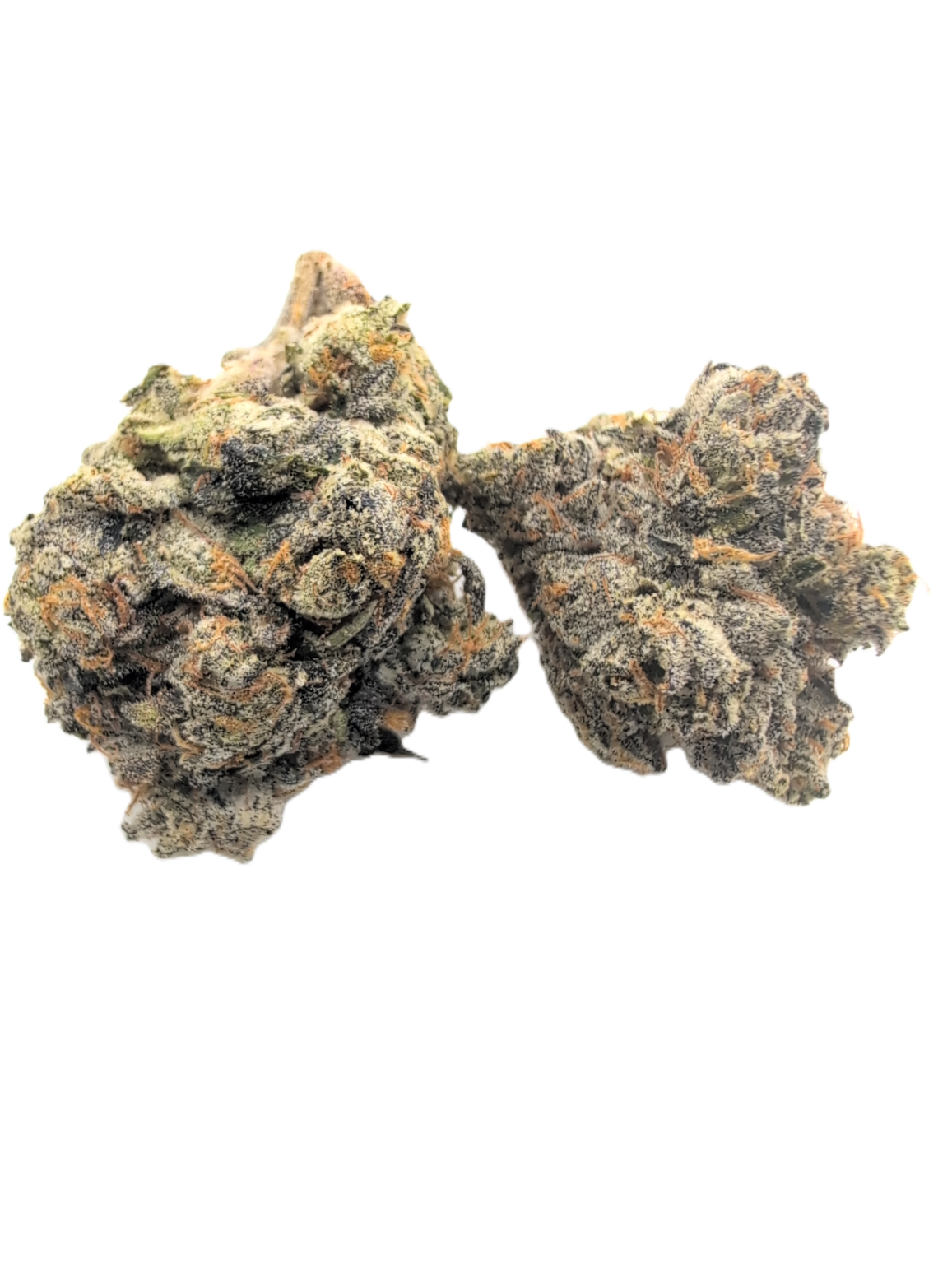 Biscotti Gelato