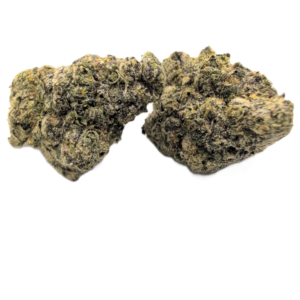 Black Maple