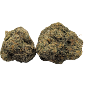 Gelato X