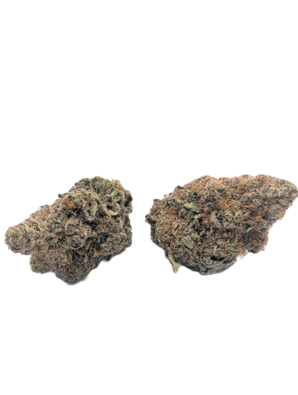 Loud Lemonade