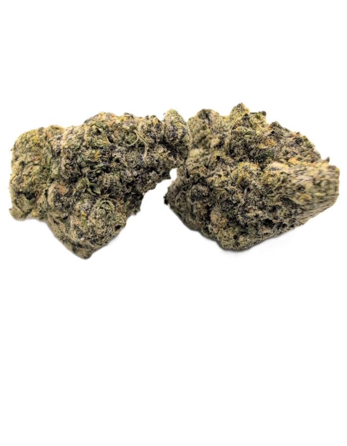 Black Maple
