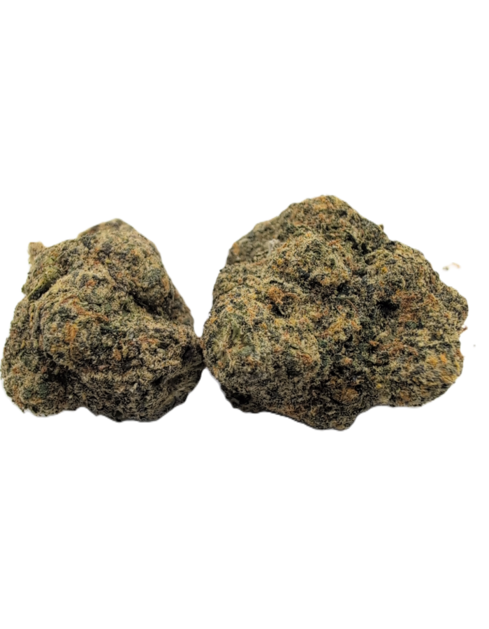 Gelato X
